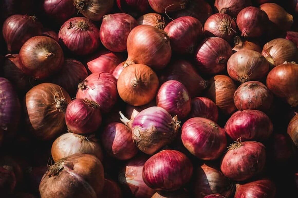 Dry, Airy, Darkish Places Are The Best Way To Store Onions best way to store onions