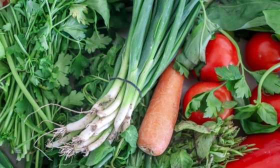 how long do green onions last