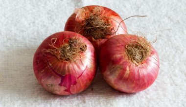 how long do onions last