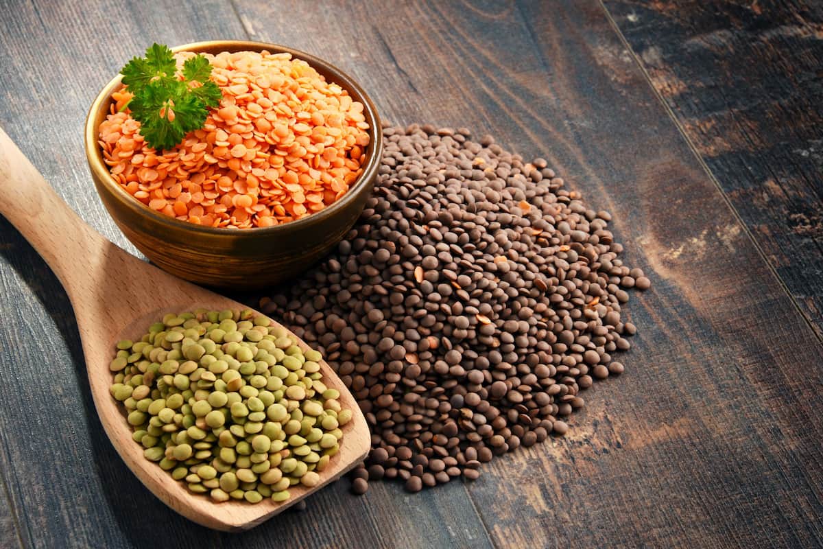 what do lentils taste like