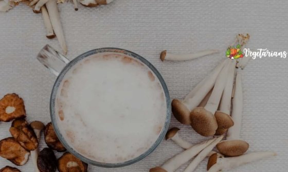 mushroom coffee benefits