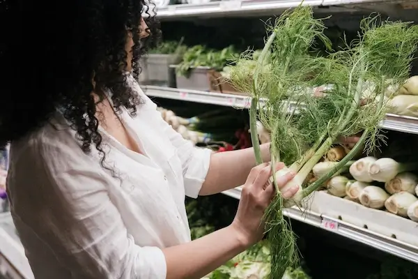 Benefits Of White Root Vegetables person holding a fennel