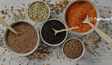 are lentils keto friendly