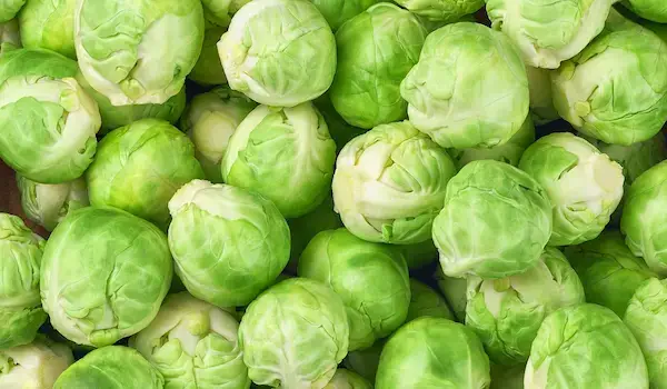 How To Cook Frozen Brussel Sprouts? Quality Frozen Brussel Sprouts