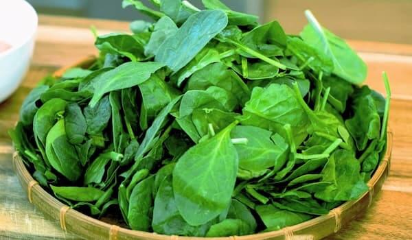Discover How To Steam Spinach In Microwave Fresh Spinach Leaves