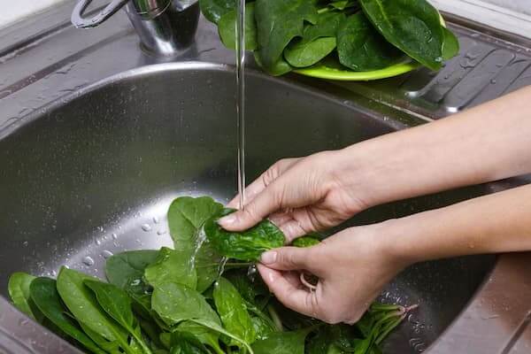 Discover How To Steam Spinach In Microwave Rinse Spinach Thoroughly